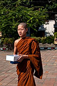 Chiang Mai - The Wat Chedi Luang, novice monk. 